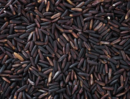 Wild Rice