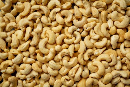 Cashew