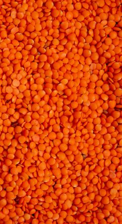 Moong Dal